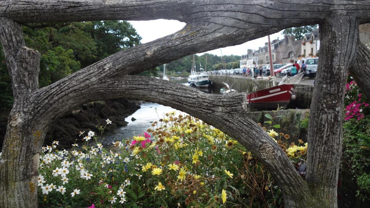 Aux Portes De Pont-Aven, Maison Pleine De Charme Esterno foto